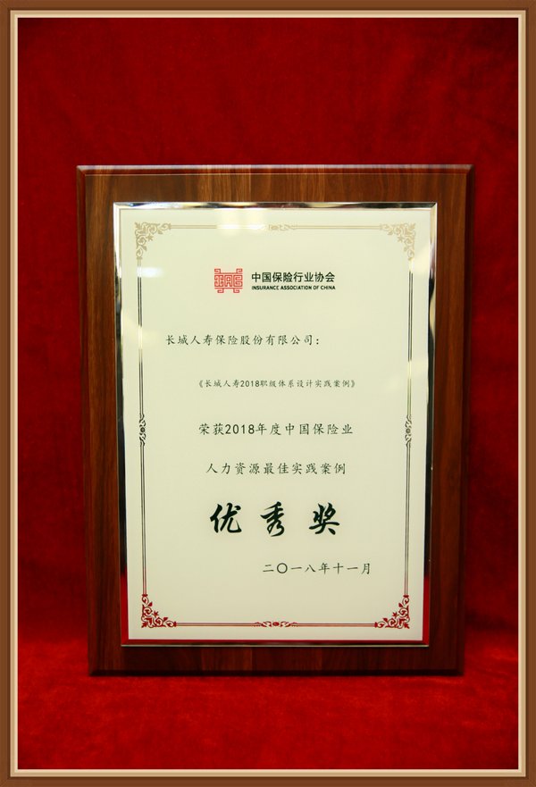 人力資源最佳實踐案例優秀獎