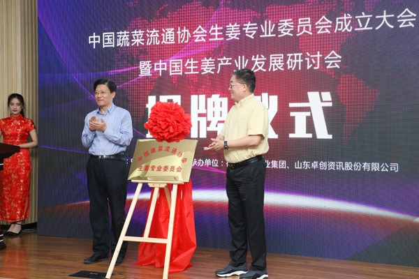 中國蔬菜流通協會生姜專委會正式成立 生姜產業發展邁上新臺階
