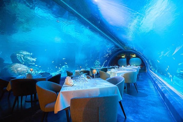 同海洋生物共進晚餐 尚泰普吉島購物中心全新旅游景點即將開放