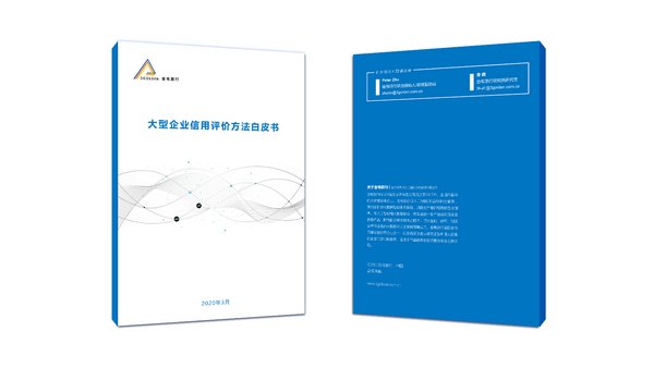 金電聯行發布《大型企業信用評價方法白皮書》